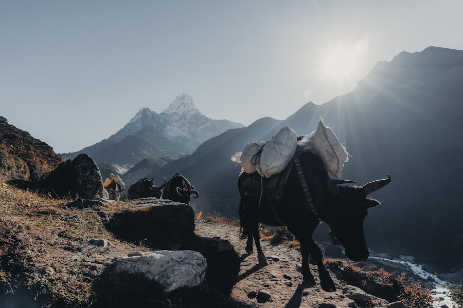 Everest Base Camp Trek